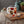Cozy Fall Insulated Coffee Mug - Clear Acrylic Lid - Dipaliz - Mugs