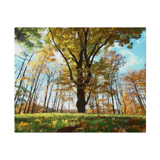 Elevate your Space with Autumn Season Matte Canvas - 10’’ x 8’’ (horizontal) / 0.75’’