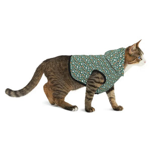 Cat Print Pattern Hoodie - Stylish Feline Fashion - Dipaliz - Pet Apparel