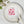 Tropical Wedding Napkins – Summer Gatherings - Dipaliz - Paper