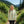 Floral Aop Unisex Zip Hoodie Bohemian Style Perfect for Spring Gift Her Cozy Layering any Occasion - Hoodies