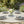 Floral Art Napkin – Polyester Table Decor - Dipaliz - Cloth Napkins