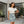 Floral Blue Roses Women’s Mini Skirt - Stretch Pencil - Dipaliz - Skirts - Xs