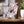Custom Ceramic Photo Tile – Floral Wall Decor - Dipaliz - Tiles