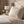 Floral Cotton Bed Set – Pastel Ditsy Print - Dipaliz - Bedding Sets