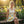 Daffodil Skater Skirt – Floral Spring Style - Dipaliz - Dresses