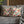 Floral Decorative Pillowcase Spun Polyester Dipaliz - Pillowcases & Shams