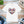 Floral Heart Tee - Summer Style Cotton Top - Dipaliz - T-shirts