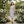 Floral Midi Dress – Built-in Bra Tie Straps - Dipaliz - Dresses - Xs