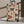 Vibrant Floral Print Suitcase - Cool Explorers - Dipaliz - Suitcases