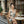 Floral Print Racerback – Elegant Summer Fashion - Dipaliz - Dresses - Xs