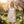 Peach Rose Garden Skater Skirt – Organic Cotton - Dipaliz - Dresses