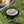 Floral Frisbee Ultimate Outdoor Games Fun Flying Disc - Dipaliz - Black / 10.9’’ - Discs