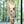 Women’s Floral Racerback – Summer Casual Dress - Dipaliz - Dresses - Xs