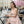 Women’s Skater Dress – Floral Print Spring - Dipaliz - Dresses - Xs