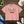 Boxy Fit Women’s Tee Flowers - Sewn-in Twill Label - Dipaliz - T-shirts