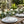 Foliage Napkins – Muted Colors Polyester Set - Dipaliz - Cloth