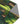 Forest Landscape Area Rugs – Polyester Chenille - Dipaliz