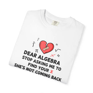 Funny Algebra T-shirt, ?Dear Stop Asking me to Find your X’ Graphic Tee - T-shirts - m
