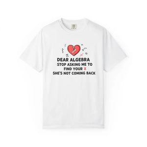 Funny Algebra T-shirt, ?Dear Stop Asking me to Find your X’ Graphic Tee - T-shirts - m