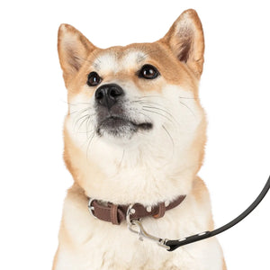 Geometrical Print Dog Leash - White Tpu Handle - Dipaliz - Standard Leashes