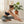 Gold Moroccan Tile Capri Leggings - Yoga Activewear - Dipaliz - s