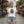 Gorilla with a Crown Men’s Classic Tee - Dipaliz - T-shirts - s
