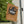 Jack O’ Lantern Flag – Pumpkin Magic Fall - Dipaliz - Flags & Windsocks