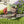 Congrats Garden Banner – Graduating Owl Canvas - Dipaliz - Flags & Windsocks