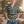 Green Plaid Hawaiian Camp Shirt - Summer Polyester - Dipaliz - Shirts