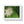 Vivid Framed Horizontal Poster - Guava Flower Art - Dipaliz - Posters Prints & Visual Artwork