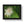 Vivid Framed Horizontal Poster - Guava Flower Art - Dipaliz - Posters Prints & Visual Artwork