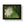 Vivid Framed Horizontal Poster - Guava Flower Art - Dipaliz - Posters Prints & Visual Artwork