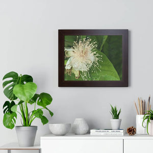 Vivid Framed Horizontal Poster - Guava Flower Art - Dipaliz - Posters Prints & Visual Artwork