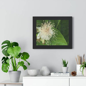 Vivid Framed Horizontal Poster - Guava Flower Art - Dipaliz - Posters Prints & Visual Artwork