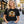 DipaliZ Halloween Forest Sprite Unisex Jersey Cotton Tee