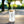 Floral 16oz Sipper Glass - Chic Bamboo Lid - Dipaliz - Tumblers