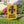 Harvest Defender Banners – Durable Poly Poplin - Dipaliz - Flags & Windsocks
