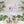 Floral Balloon – Romantic Party Decoration - Dipaliz - Balloons