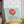Heartfelt Tomato Glass Cutting Board – Kitchen Fun - Dipaliz - Boards