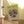Vibrant Rose Plant House Banner Poly Poplin - Dipaliz - Flags & Windsocks