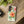 Hibiscus Floral Tough Phone Case, Tropical Botanical Protective Iphone Cover - Mobile Cases