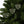 Holly Leaves Festive Ceramic Ornaments Christmas - Dipaliz - Holiday