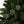 Holly Leaves Festive Ceramic Ornaments Christmas - Dipaliz - Holiday