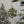 Holly Leaves Festive Ceramic Ornaments Christmas - Dipaliz - Holiday