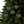 Holly Leaves Festive Ceramic Ornaments Christmas - Dipaliz - Holiday