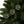 Holly Leaves Festive Ceramic Ornaments Christmas - Dipaliz - Holiday