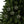 Holly Leaves Festive Ceramic Ornaments Christmas - Dipaliz - Holiday