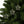 Holly Leaves Festive Ceramic Ornaments Christmas - Dipaliz - Holiday