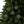 Holly Leaves Festive Ceramic Ornaments Christmas - Dipaliz - Holiday